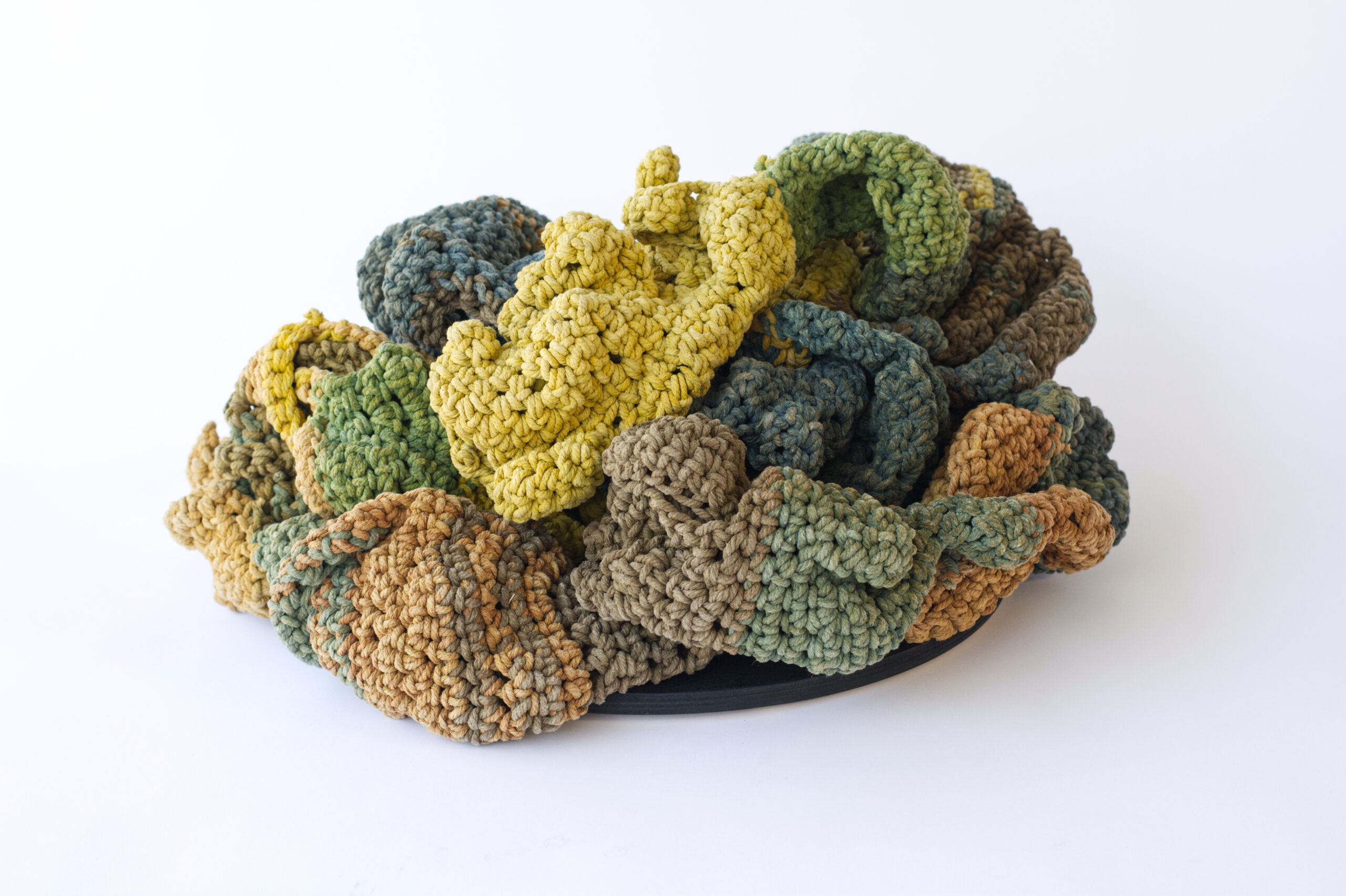 Harvest by Cheryl Ann Thomas